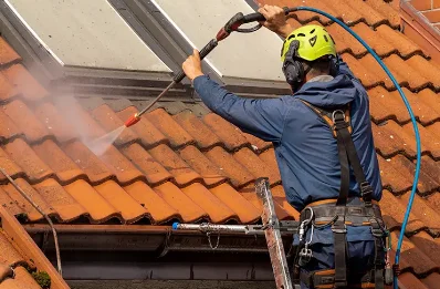 Démoussage et hydrofuge de toiture à Blesle